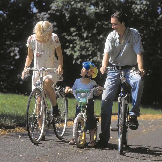 Die verantwortungsbewusste  Vaterschaft